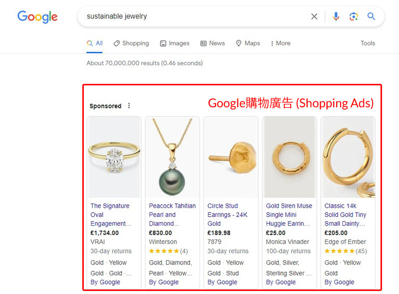 Google購物廣告 (Shopping Ads) Example